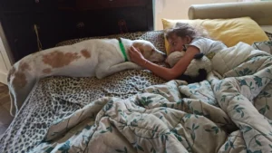 366048417 693263599511907 70163135299491733 n 1