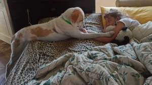 366055169 693263562845244 2221444471459494888 n