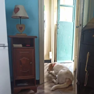 368048747 693263059511961 2355460454376028816 n