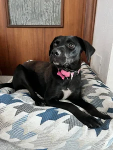 369590513 695214555983478 6738634002482496437 n