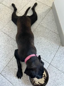 369595429 695213189316948 3095163574552352489 n