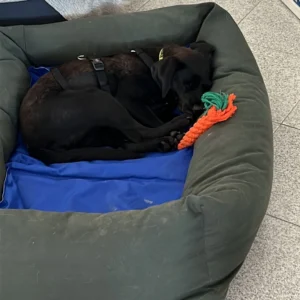 369597991 695214452650155 6771665740930974657 n