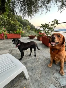 369600385 695213815983552 8292299933080327236 n