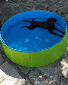 369609750 695214262650174 7624102462050728951 n