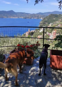 369609769 695214432650157 3293385413830449091 n