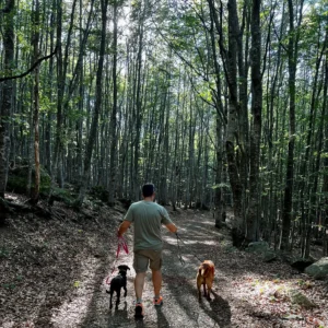 369656689 695214775983456 6218301904140358226 n