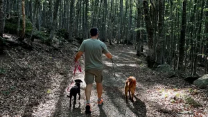 369656689 695283456 6218301904140358226 n