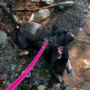 369684136 695214832650117 2099557638870334388 n