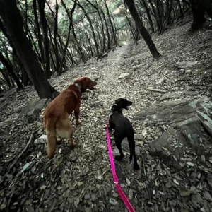 369696158 695214685983465 4538940095145147685 n