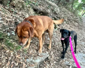 369702754 695214602650140 1097742519698300652 n