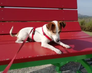 376503466 706057634899170 62131247390360625 n