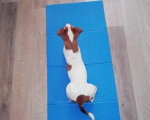 376630766 706057738232493 3594403140459735842 n