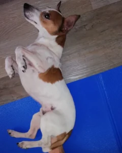 376775639 706057794899154 791098221268200502 n