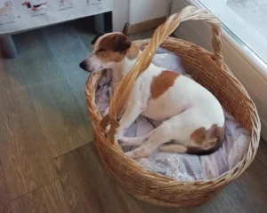 376803100 706057824899151 3519894629286152536 n