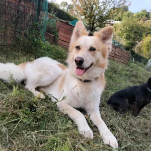 392757981 727618009409799 2779095211517580503 n