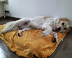 392805117 727618186076448 4089693550446532295 n