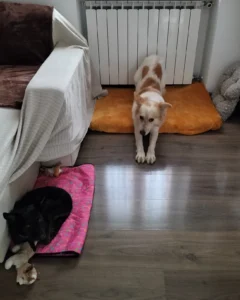 392816412 727618069409793 6426943933336300216 n