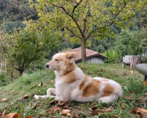 392822421 727617822743151 7154310760604523234 n