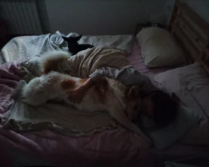 392855417 727618252743108 5747933912614310446 n