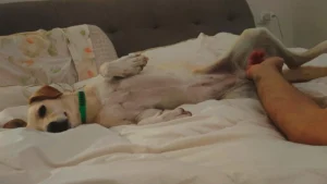 392885173 730007212504212 824547078035853718 n