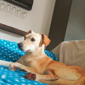 392885283 730006959170904 3268730110850782566 n