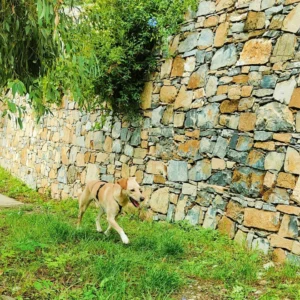 392887420 730006992504234 7267959793293488151 n