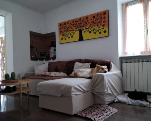 392887421 727617909409809 3935143476251845823 n