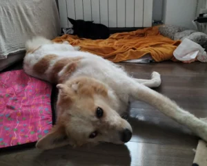 392890040 727617706076496 87892976472605395 n