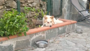 392890315 727617766076490 8503925369862484144 n