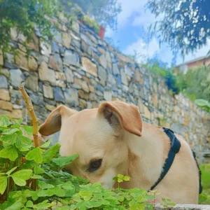 392890332 730006845837582 5416313415573374674 n