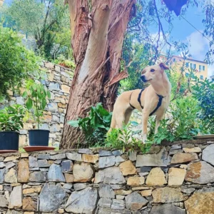 392896439 730007092504224 2952554682180169960 n