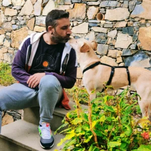 392919137 730007202504213 2883540403956