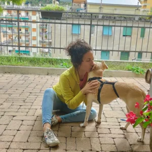 392930231 730007039170896 5369546366610651602 n