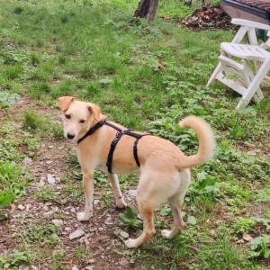 394035965 730006759170924 5785633722963804027 n