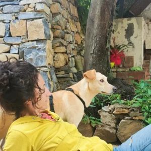 394051611 730006715837595 708107299695993728 n