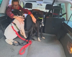 398566140 742042891300644 6850435149397255344 n