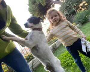 398569472 742043534633913 71141950729256