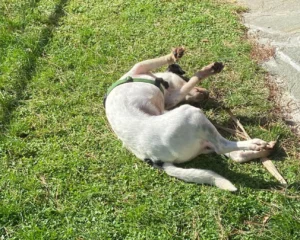 398582253 742043004633966 2452623205686661397 n