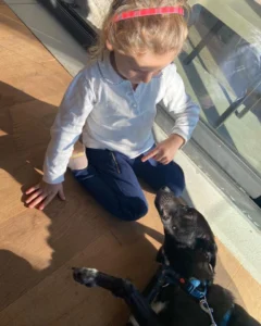 398594350 742043487967251 7797269125746320771 n