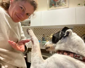 398595092 742043387967261 1905362832647768115 n