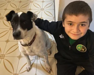 400783356 742042074634059 8086982261375420291 n