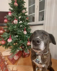 408878258 44375166491569 2598923205249778746 n