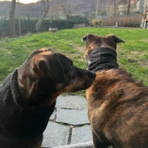 411459199 762385045933095 7975112906476748147 n