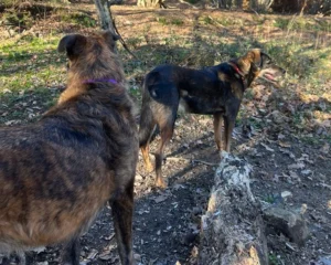 411486273 762384985933101 4553118308107233921 n