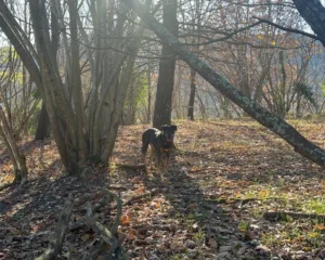 411491709 762384945933105 9079795962927001983 n