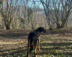 411495852 762384915933108 5766482502786796041 n