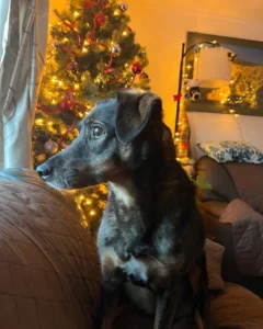 411498621 762384715933128 6118510985590912825 n