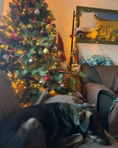 411498637 762384855933114 6259057556147250586 n