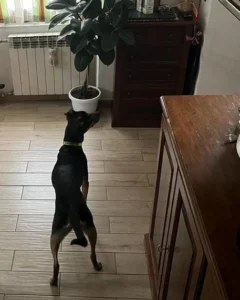 414494238 773012578203675 8302374480159411596 n