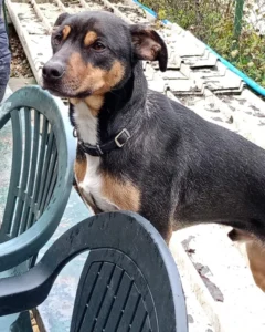 417363150 773012991536967 4495305246592080407 n